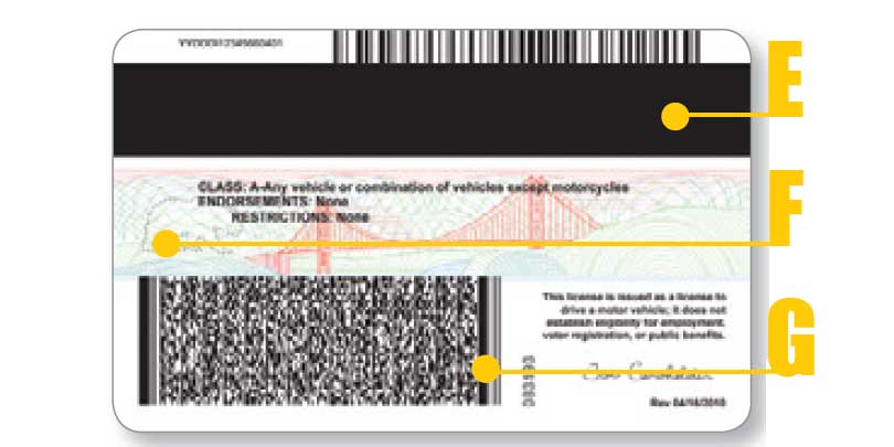 California Driver License Font Type