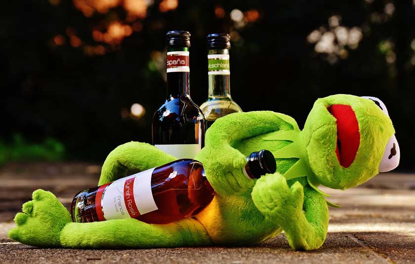Kermit and Wine. Photo by Alexas_Fotos